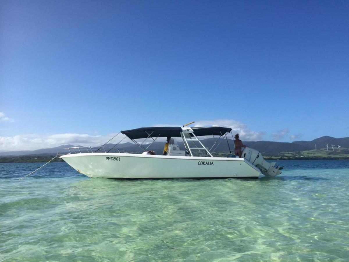 ZANNANNA F1 de charme tout équipé Le Moule avec piscine Exterior foto