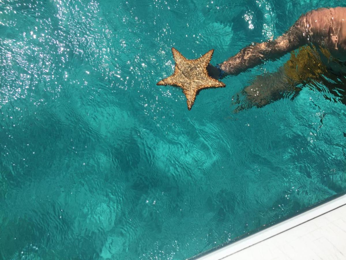 ZANNANNA F1 de charme tout équipé Le Moule avec piscine Exterior foto