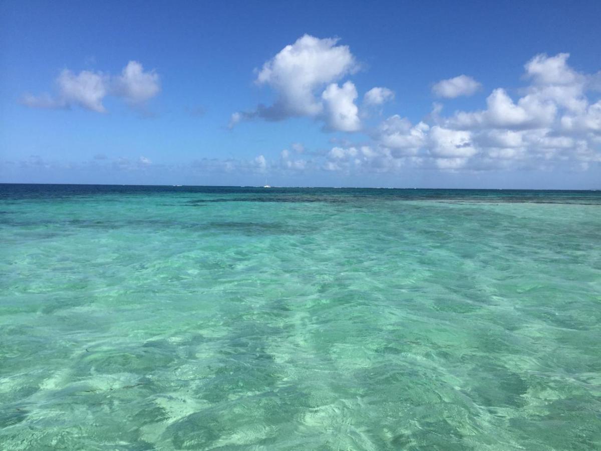 ZANNANNA F1 de charme tout équipé Le Moule avec piscine Exterior foto